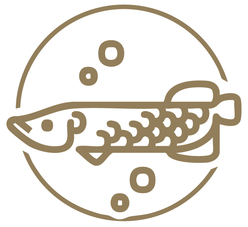 LogoIconOnly